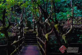 国庆假期来看看热播剧《云南虫谷》中这个秘境取景地吧图片