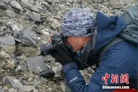 中国采集队在珠峰6200米地带成功采到植物种子图片