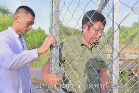 世界动物日｜野生动物的超级“奶爸”图片