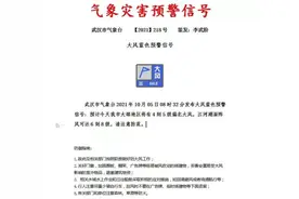 刚刚！武汉发布大风蓝色预警图片