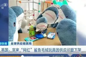 供应短缺！宜家网红玩具面临停产 网友：鲨鲨你不能走图片