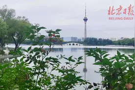 近水平台先观鸟！来北京这个公园，看千余平方米“生态湖岸”图片