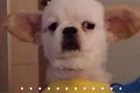 这些都是诈骗！一不注意你就上当图片