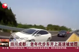 四川成都：老年代步车开上高速被处罚视频封面