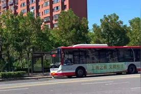 公交站前的绿植没了，居民上下车方便了！佘山大居公交站前绿化迁移工作已完成图片