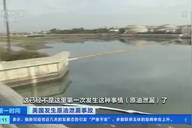 约35平方公里海面和海滩被污染！美国加州原油泄漏或因输油管线老化图片
