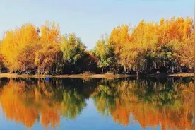 金秋辉映，湖面涟漪，河南高校的湖泊悄悄出圈啦！图片