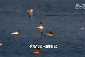新华全媒+｜金秋时节 大美盘锦等你游图片