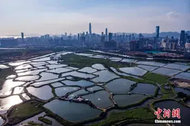 香港将发展可容纳250万人居住北部都会区图片