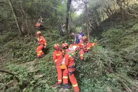 紧急救援！张家界桑植一游客不慎坠入山崖获救治图片
