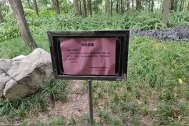 用生肉诱拍国家二级保护野生动物？公园方回应图片
