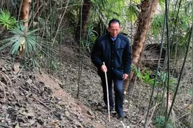18年来，他每天都去那儿绕一圈图片