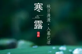 节气｜寒露，露似真珠月似弓图片