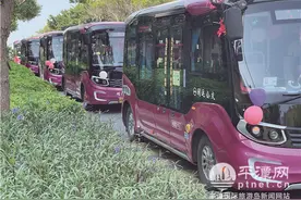闽运推出婚车定制服务，公司司机成为首个“吃螃蟹的人”图片