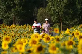 桐乡这条旅游线路向全国推介，快抓住国庆假期的尾巴去打卡图片