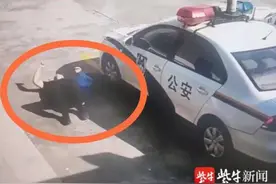 一昼夜出警超20次，警察小哥一跤摔笑自己摔疼网友图片