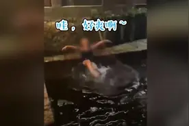 丽江回应“游客在石榴井游泳戏水”：文旅公安等部门介入调查视频封面