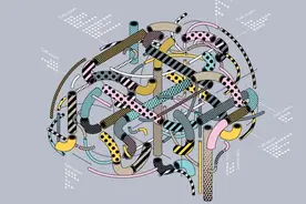 神经科学“罗塞塔石碑”来了：迄今为止最完整的大脑细胞图谱图片