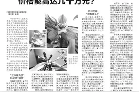 为什么有的兰花价格能高达几十万元？图片