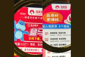 高佣金招团长、与小店寻合作，阿里社区电商更名淘菜菜能否突围？图片