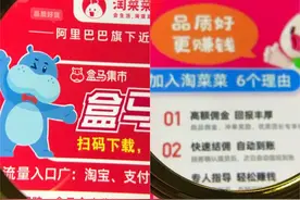 高佣金招团长、与小店寻合作，阿里社区电商更名淘菜菜能否突围？图片