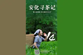 谈镇兴·安化｜冷市镇：热茶暖了冷市富了群众图片
