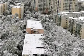 乌鲁木齐全城飘雪图片