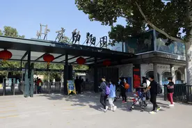投喂动物屡禁不止？惩戒手段不可虚设图片