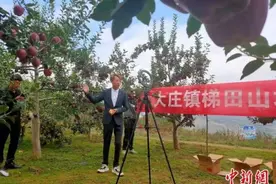 甘肃庄浪“梯田苹果”贷款助销 地头直播邀网友下单图片