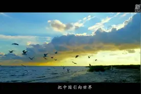劈波斩浪引航人图片