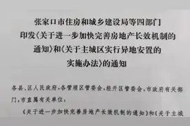 国内多城出手防止房企低价甩卖 业内：楼市风险既要防大涨，又要防大跌图片