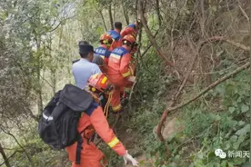 乐山一男子被马蜂蜇伤昏迷，众人深山中紧急救援图片