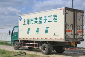 崇明这个合作社，一年四季只种它，你肯定猜不到！图片