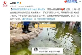 动物园游客手机掉水池被水獭捡起：想给水獭送锦旗图片