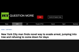 现实版“人猿泰山”？纽约一男子爬树上与警察对峙，一待就是近三天图片