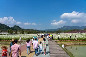 浙江国庆游客量恢复至疫情前同期近九成，乡村游红色游是主流图片