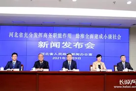 河北：汇聚“商务力量”助推全面小康图片