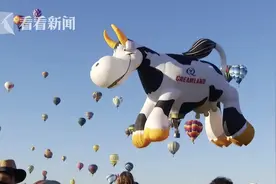 童话般的天空！美国国际热气球节回归图片