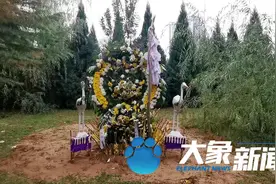 郑州七里河绿化带内惊现坟头，紧邻公交站，社会事业局：尽快推动迁坟图片