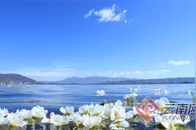 大理“1806”小镇：以一场生态搬迁诠释绿色发展图片