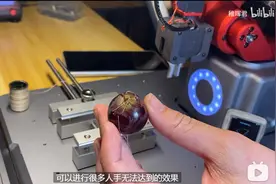 任正非点过名的华为“天才少年”假期DIY机械臂庆生，可远程为葡萄缝针图片