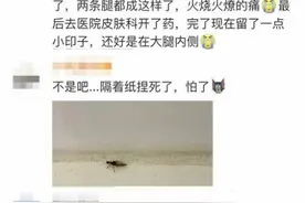 扩散！遇到这种虫千万别拍死图片