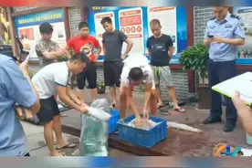 刑拘！三男子为牟利非法猎捕国家二级保护野生动物“芝麻剑”图片