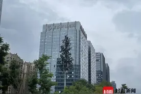 “买全球”更方便！成都迎来首家线上跨境电商图片