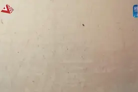 微视频 | 110秒纪念辛亥革命110年视频封面