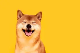 身陷痛苦的时候，“转移”永远有效！来学“三自一转移”疗法图片