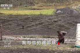 和野生动物共享同一片土地 中国生物多样性保护不断取得新成效图片