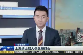 上海迪士尼人偶又被打头视频封面