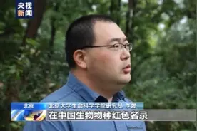 野外种群数量增加至1864只 大熊猫受威胁程度喜提“降级”图片