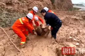 山西大宁县一农妇身陷泥潭被救出，幸无大碍图片